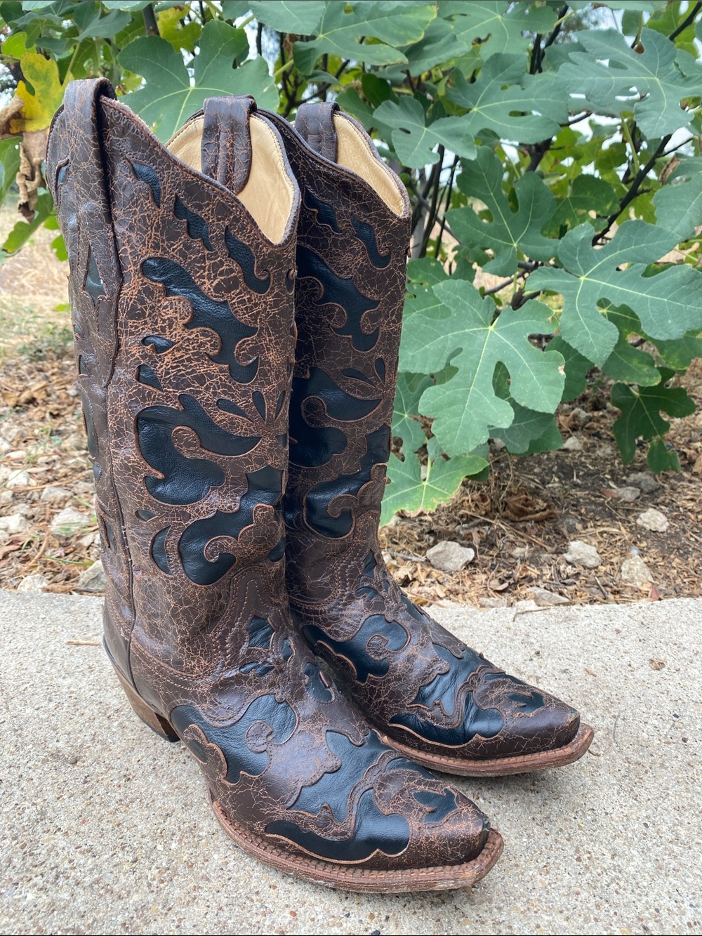 Corral laser cut mid calf snip toe western boots size 9 black brown rodeo cowboy